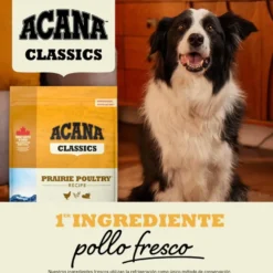 Acana Classics Prairie Poultry pienso para perros