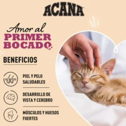 Acana First Feast pienso para gatitos