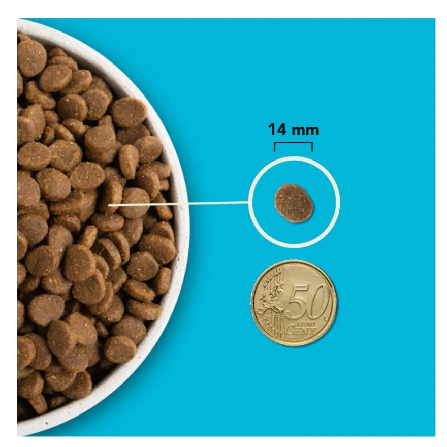 Acana HP Pacífica pienso para perros
