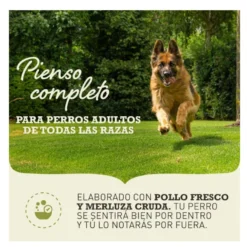 Acana Light & Fit pienso para perros