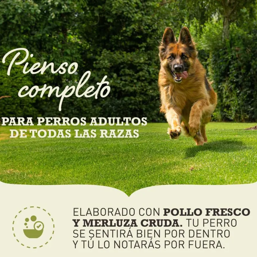 Acana Sport & Agility pienso para perros