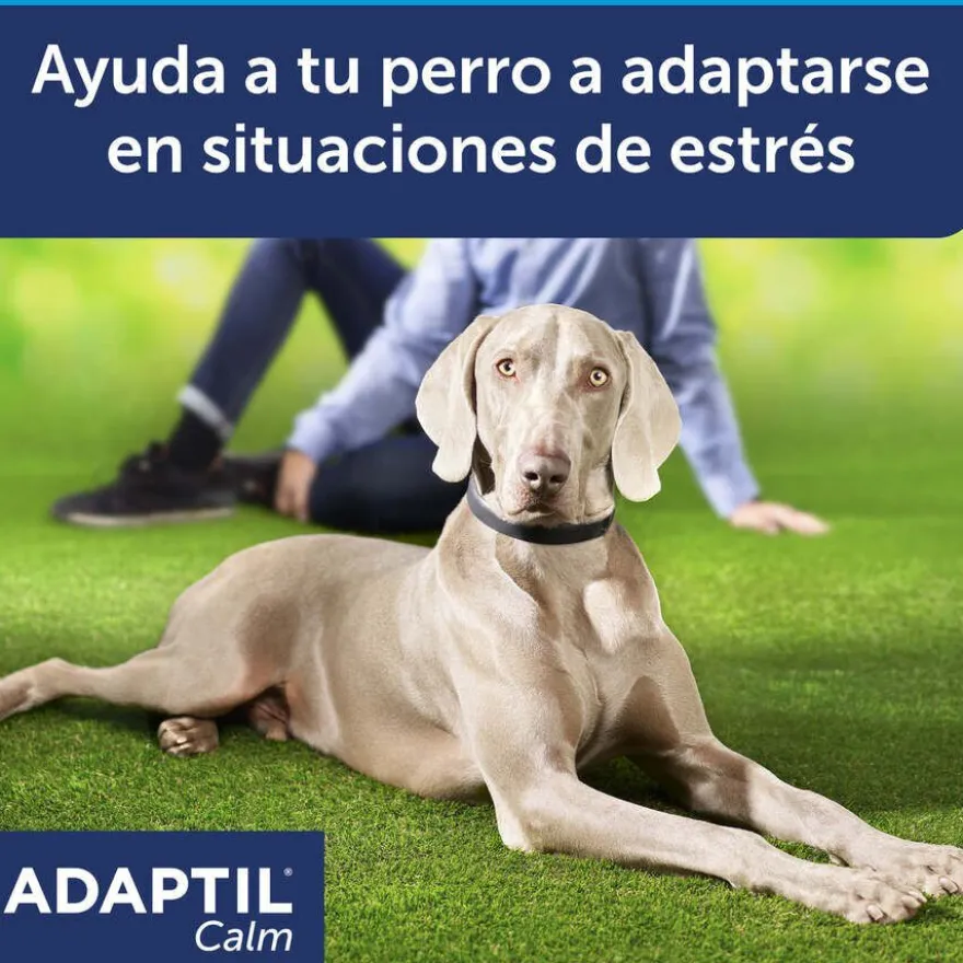 Adaptil Collar Tranquilizante para perros