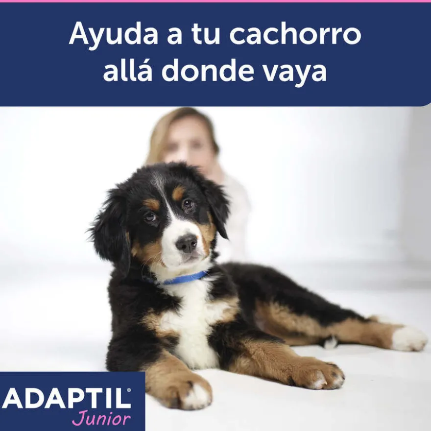 Adaptil Junior Collar Anti-estrés para perros