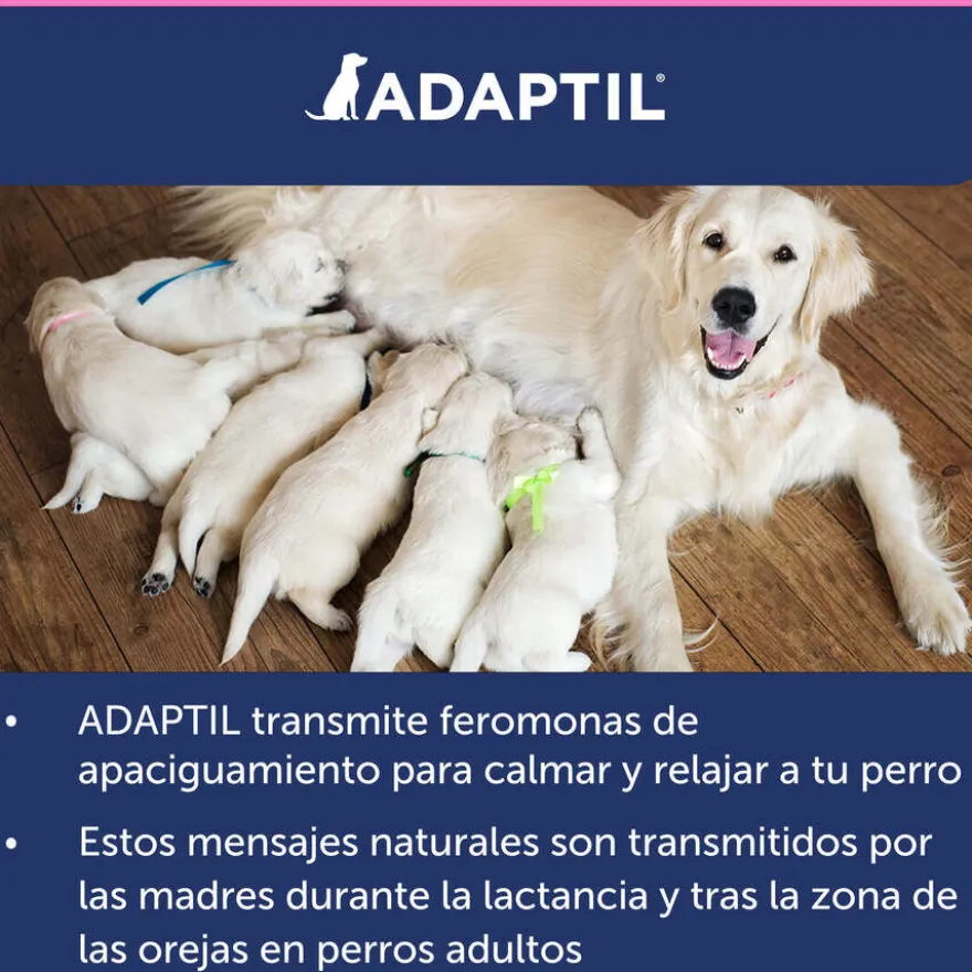 Adaptil Junior Collar Anti-estrés para perros