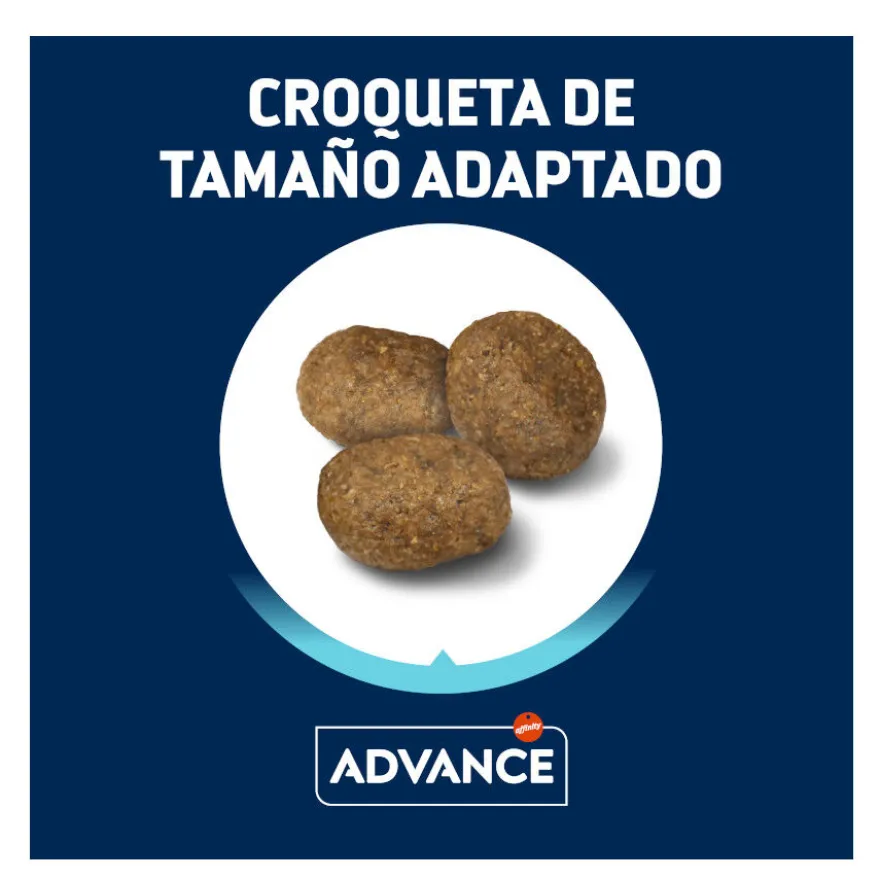 Advance Active Defense Medium Maxi Sensitive Salmón y Arroz pienso para perros