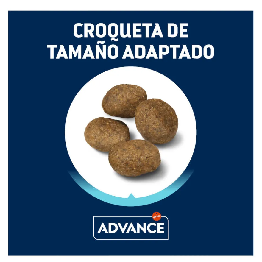 Advance Active Defense Sensitive Cordero y Arroz pienso para perros