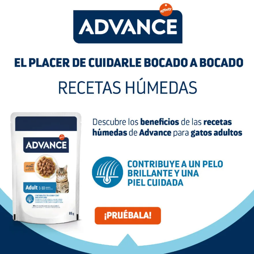 Advance Adult Bocaditos con Pollo en salsa sobre para gatos