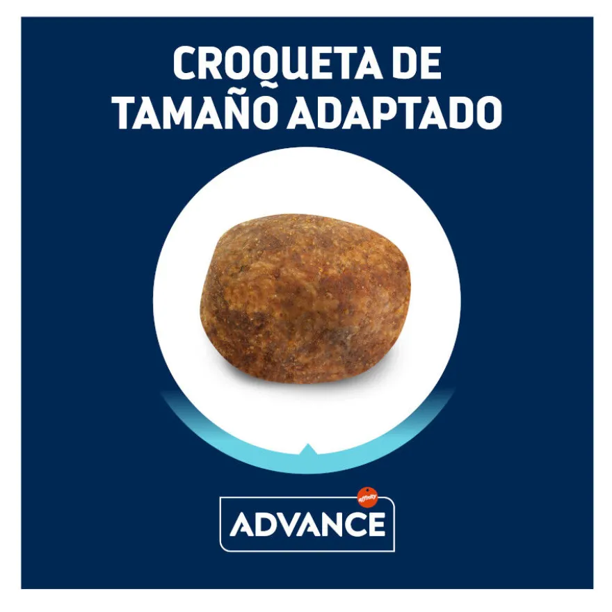 Advance Adult Labrador & Golden Retriever Active Defense Pollo y Arroz pienso para perros