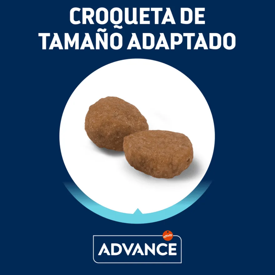 Advance Adult Pollo y Arroz pienso para gatos