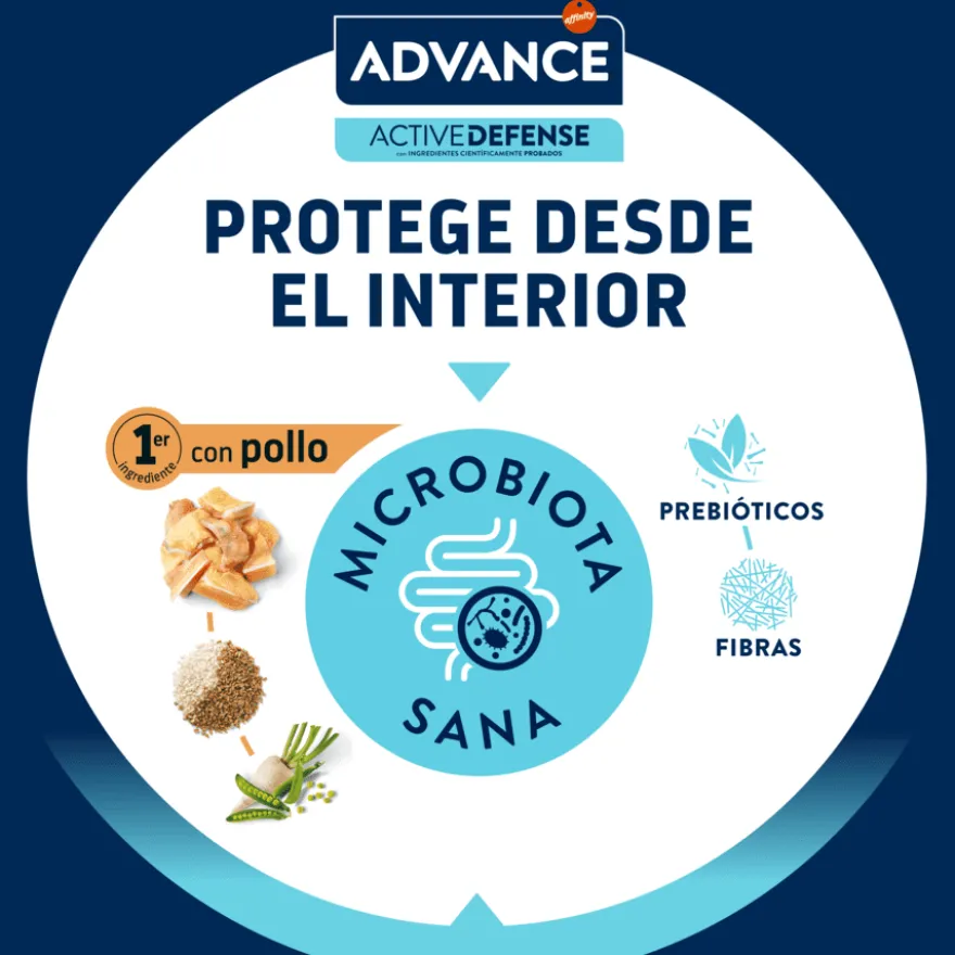 Advance Adult Pollo y Arroz pienso para gatos