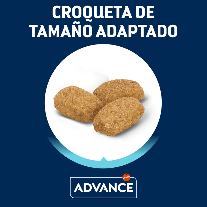 Advance Adult Sterilized Pavo y Cebada pienso para gatos