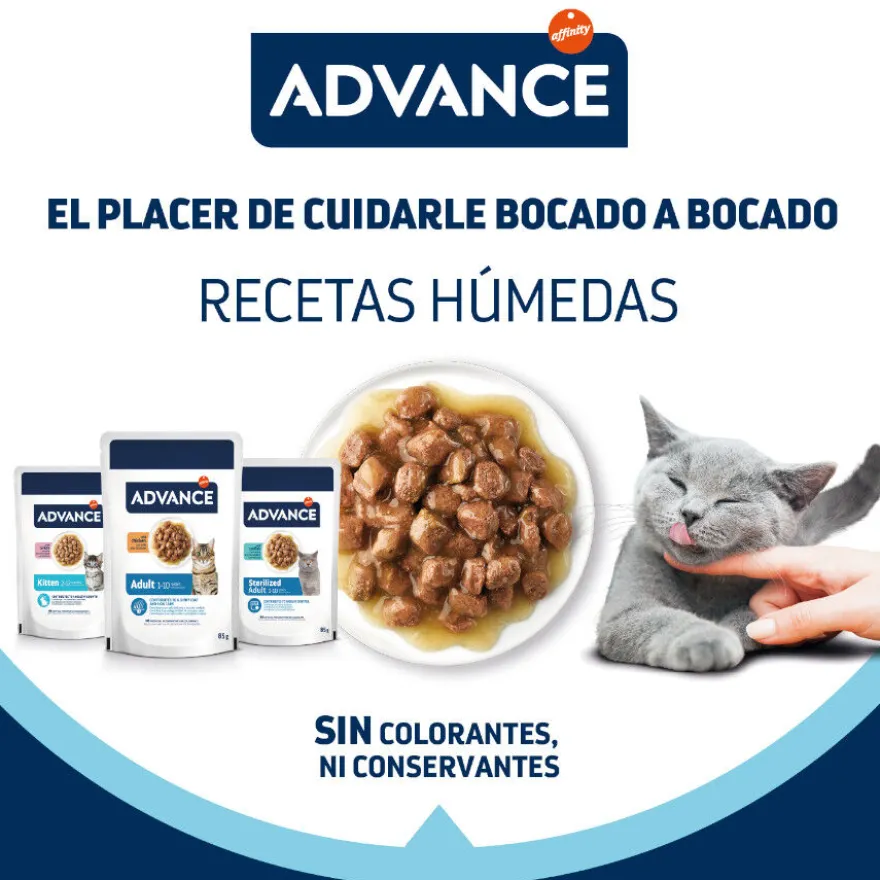 Advance Kitten Pavo en salsa sobre para gatos