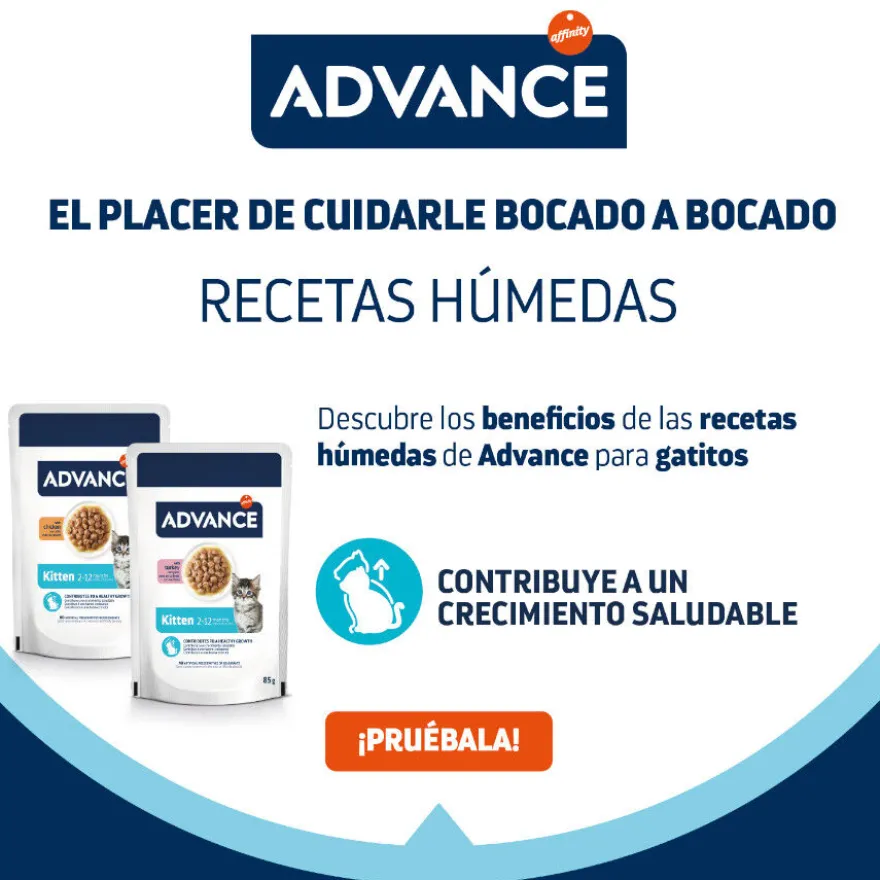 Advance Kitten Pavo en salsa sobre para gatos