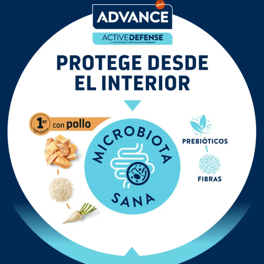 Advance Pollo y Arroz pienso para gatitos