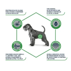 Advance Veterinary Diets Urinary Low Purine pienso para perros
