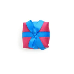 All For Paws Birthday Treasure Peluche variado para perros
