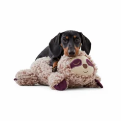 All For Paws Calming Pals Perezoso con Lavanda Juguete para perros