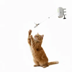 All For Paws Interactives Juguete Yoyo Bug para gatos