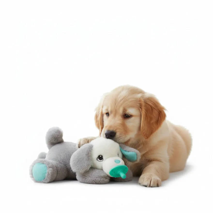 All For Paws Juguete Chupete Heartbeat Blanco para cachorros