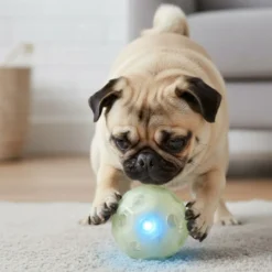 All For Paws Juguete Knite Balón con Luz para perros