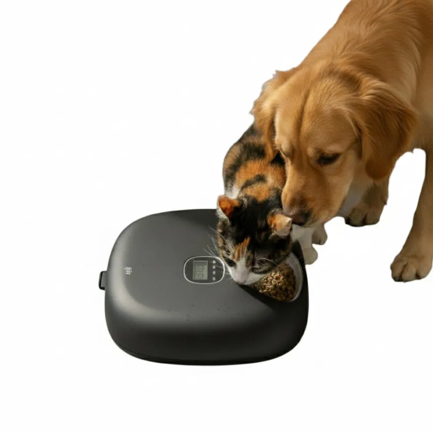 All For Paws Lifestyle Comedero Automático Negro para perros y gatos