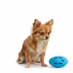 All For Paws Meta Ball Pelota Azul Juguete para perros