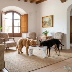 All For Paws Multi Height Comedero Doble para perros y gato