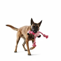 All For Paws Ultrasonic Juguete DJ Flamingo para perros