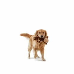 All For Paws Ultrasonic Juguete Mono Hypno para perros