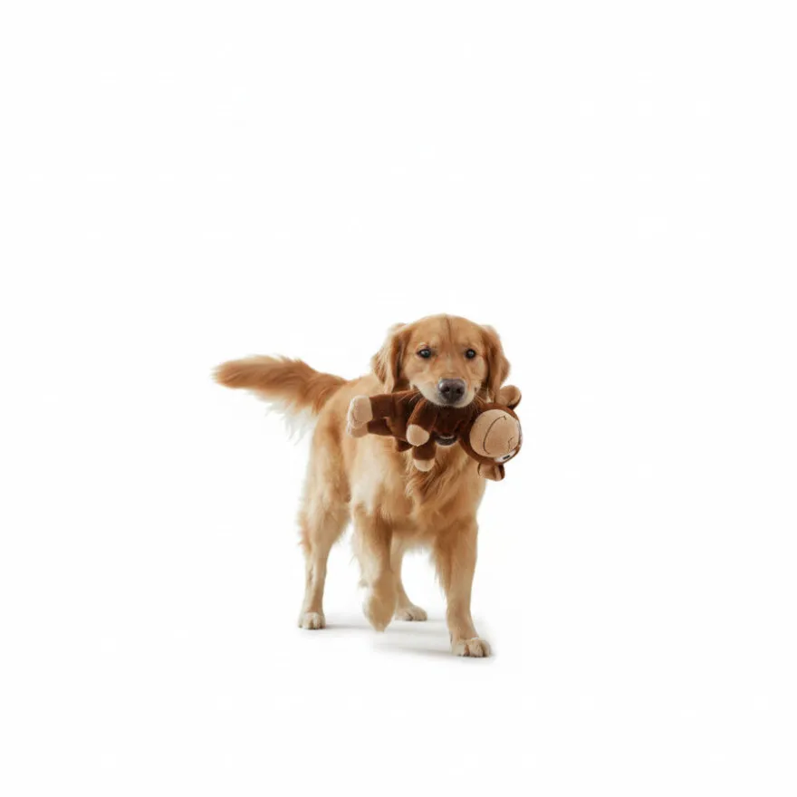 All For Paws Ultrasonic Juguete Mono Hypno para perros