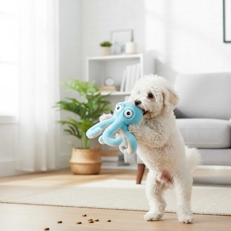 All For Paws Ultrasonic Juguete Pulpo para perros