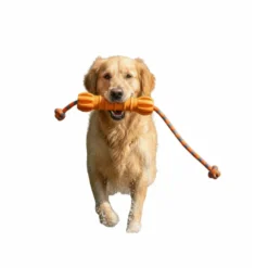 All For Paws Wow Play Juguete Stick Flotante para perros
