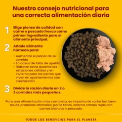 Almo Nature HFC Ternera lata para perros