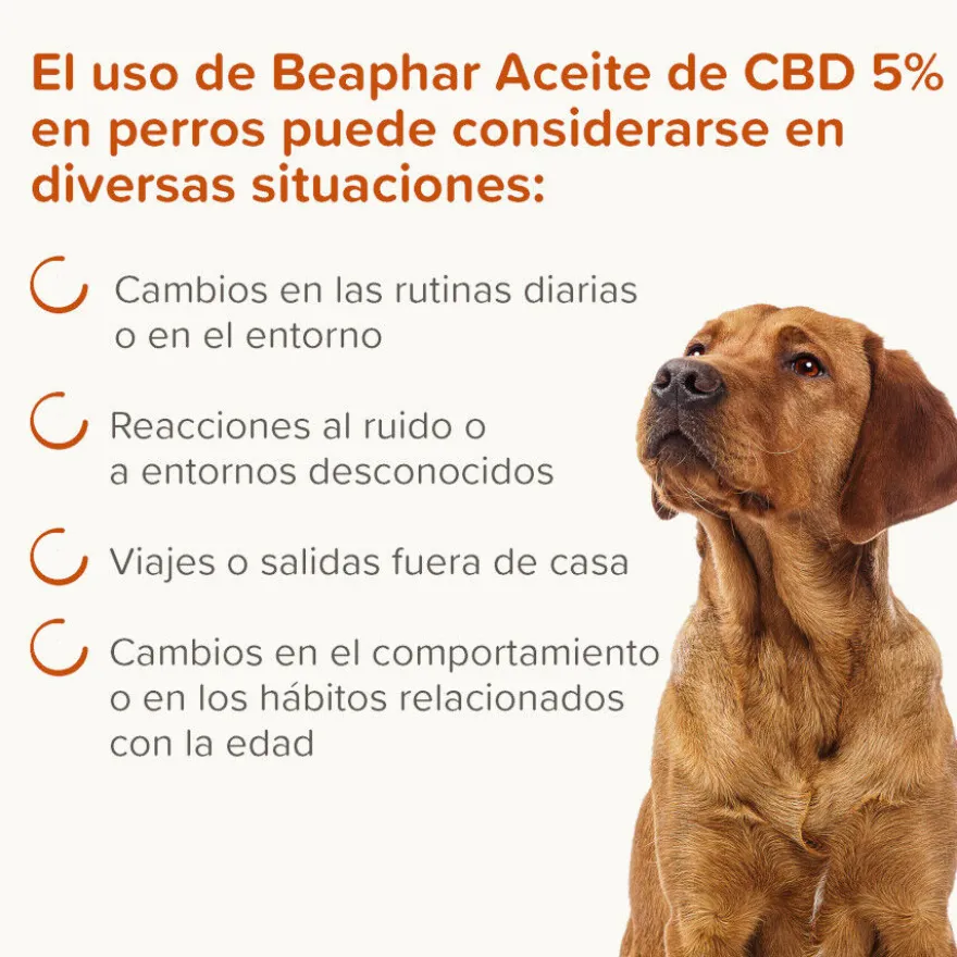Beaphar Aceite de CBD para perros