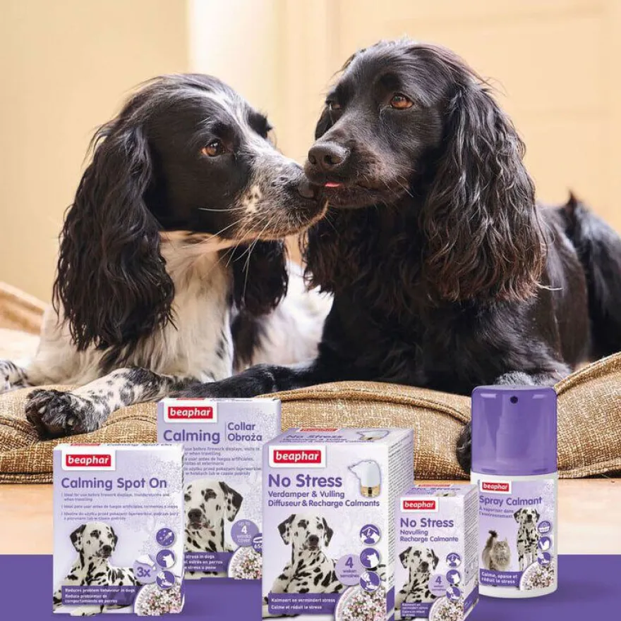 Beaphar Calming Collar Relajante para perros