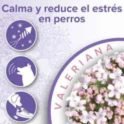 Beaphar Calming Collar Relajante para perros