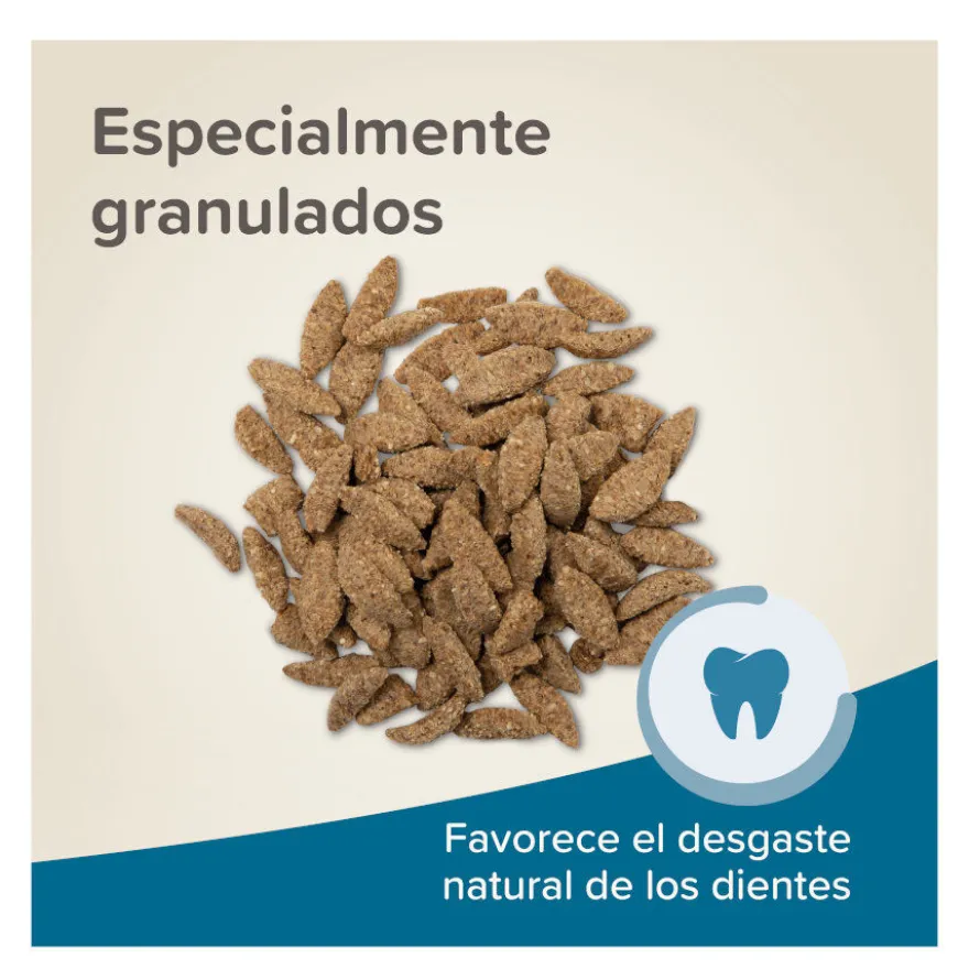 Beaphar Care+ pienso para chinchillas