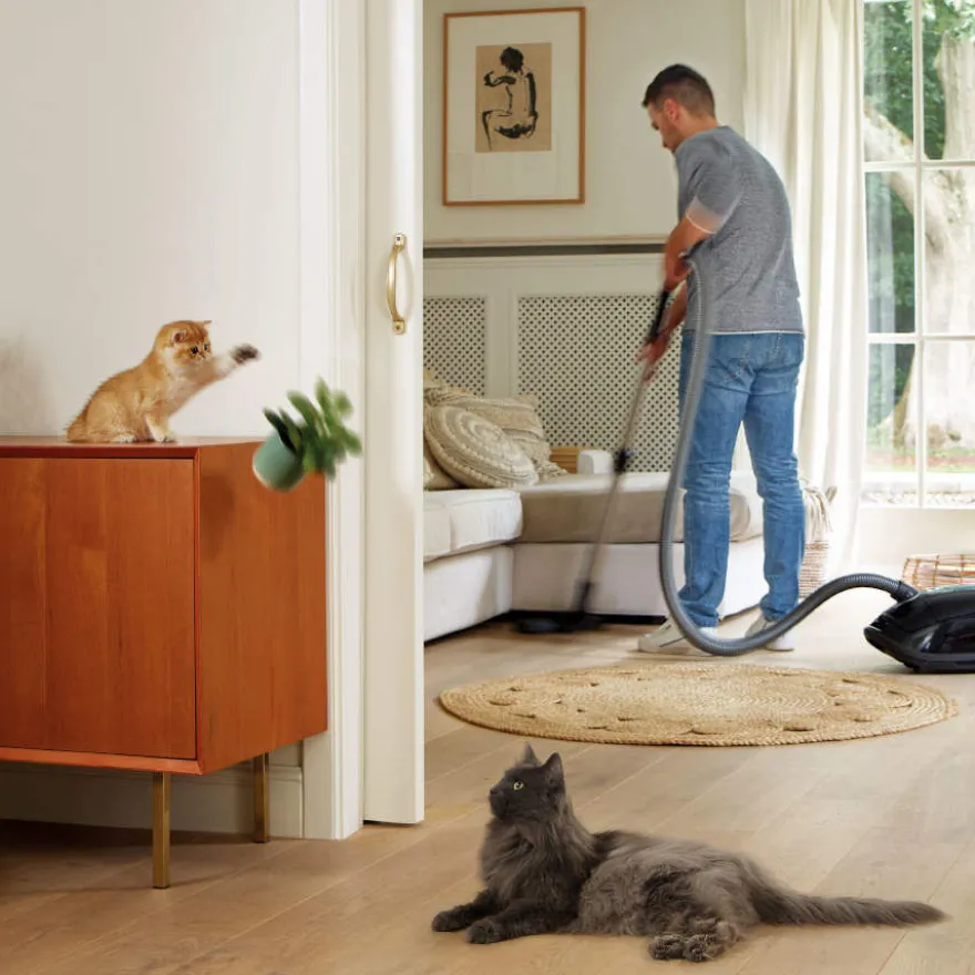 Beaphar CatComfort Relajante en Spray para el estrés ocasional en gatos
