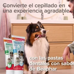 Beaphar Cepillo Dental de Bambú para Perros y Gatos