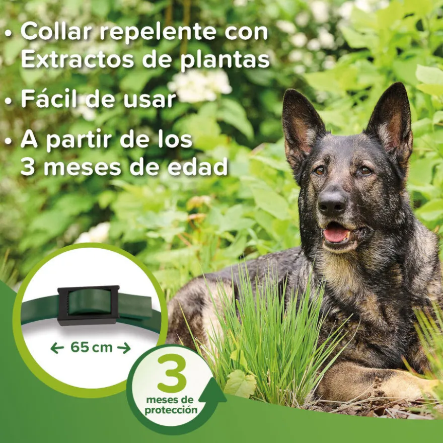 Beaphar Collar repelente para perros