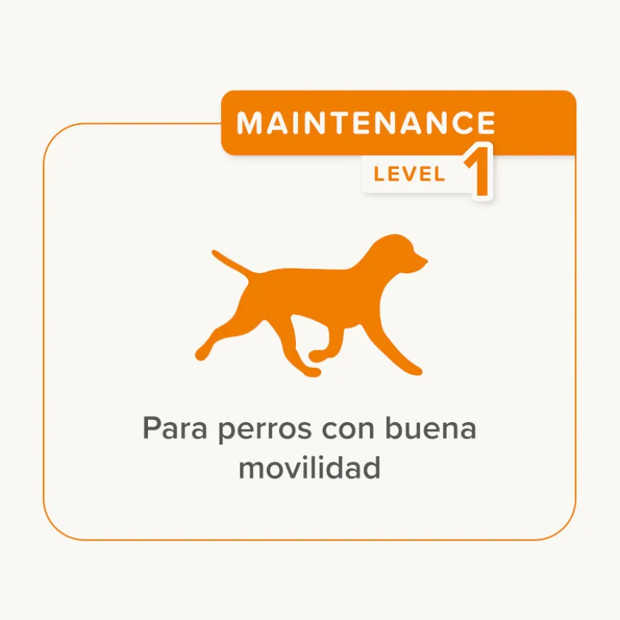 Beaphar Flexifit Treats Condroprotector para perros