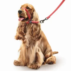 Beaphar Gentle Leader Collar de adiestramiento Rojo para perros