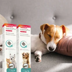 Beaphar IntestoPro pasta para perros