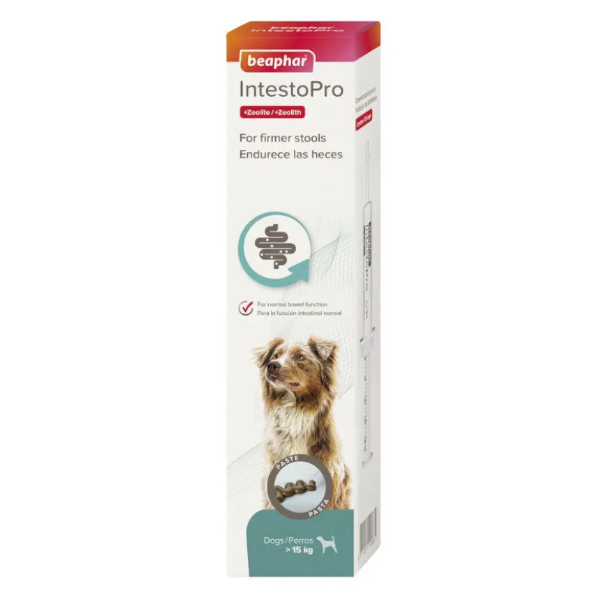 Beaphar IntestoPro pasta para perros