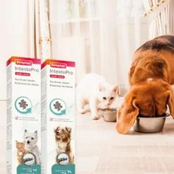 Beaphar IntestoPro Regulador Intestinal en Pasta para cachorros y gatos