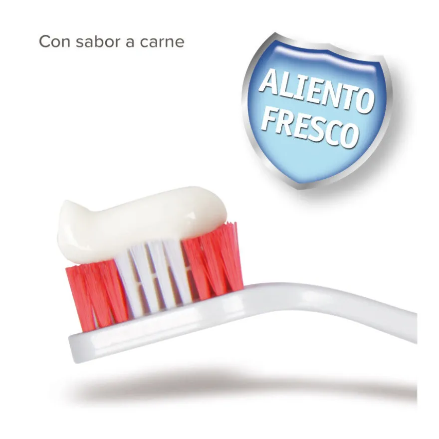 Beaphar Kit Dental para perros