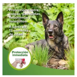 Beaphar Loción Repelente Perro y Gato