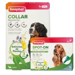 Beaphar Pack Pipetas y Collar Repelente para perros