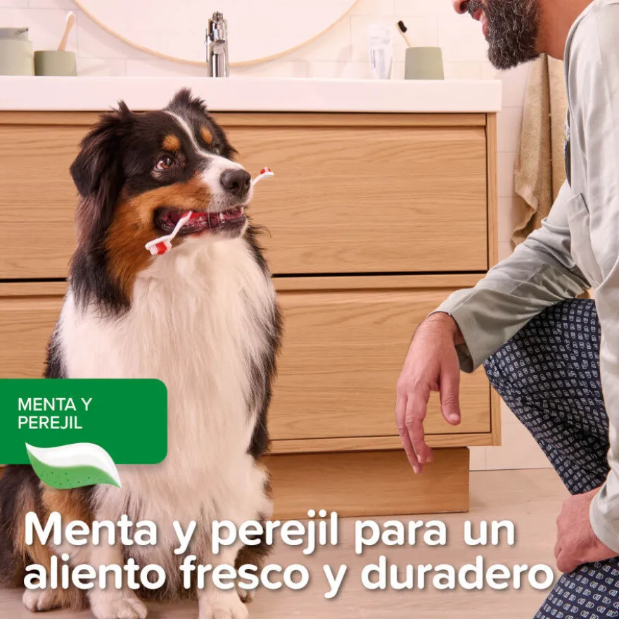 Beaphar Pasta Dental Menta Perejil para Perros y Gatos