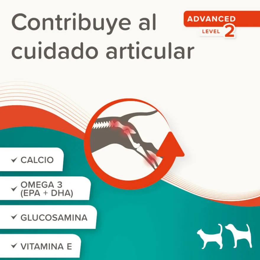 Beaphar Pasta Flexifit para perros y gatos